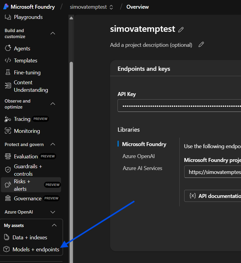 Modellen en endpoints